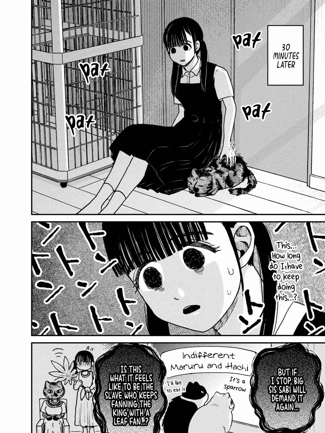 Cat Partners: Maruru And Hachi Chapter 23 page 11 - 