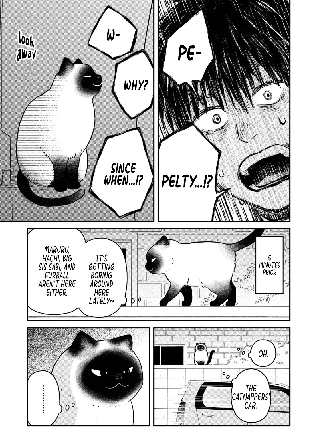 Cat Partners: Maruru And Hachi Chapter 23 page 21 - 