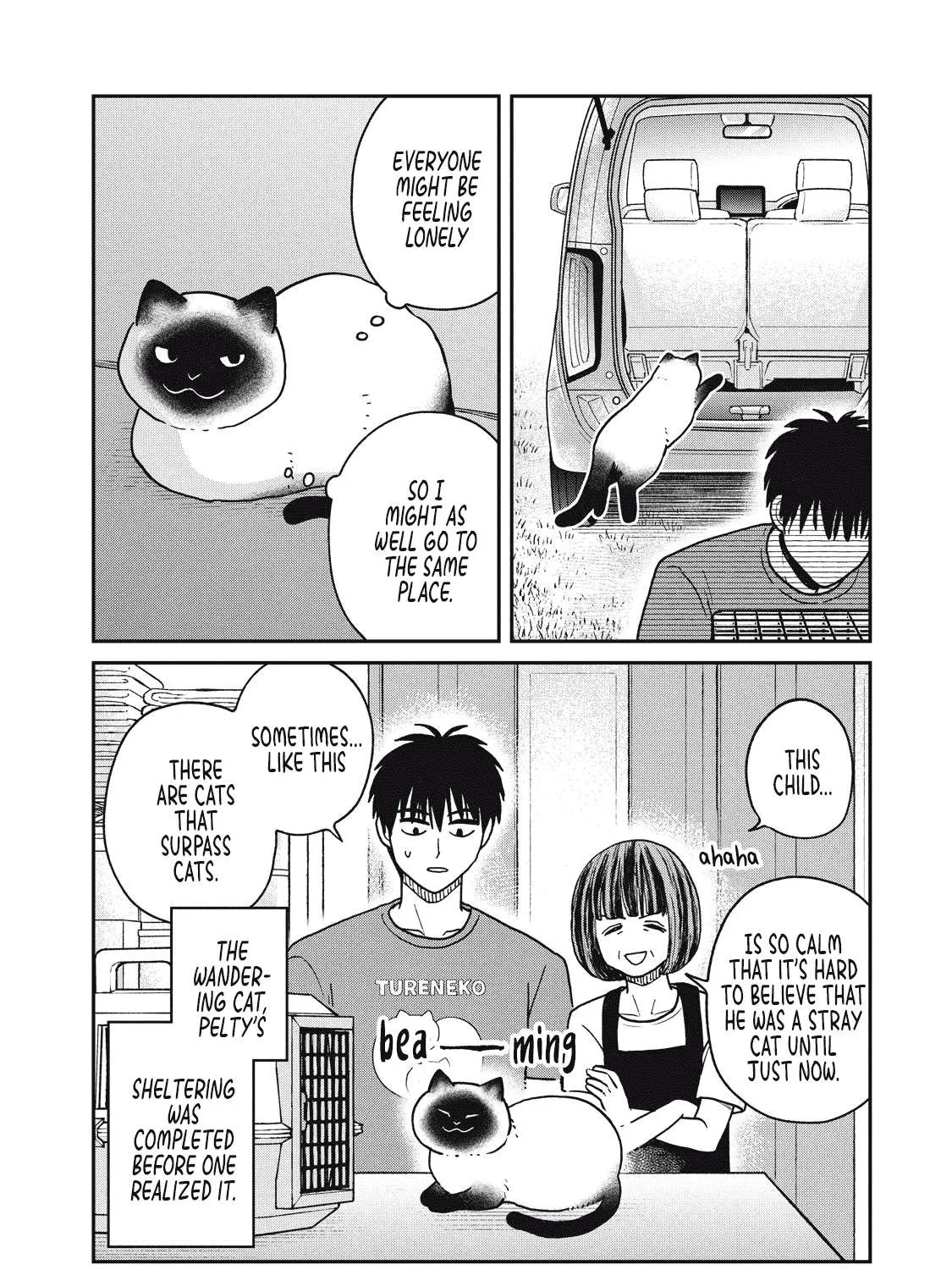 Cat Partners: Maruru And Hachi Chapter 23 page 23 - 
