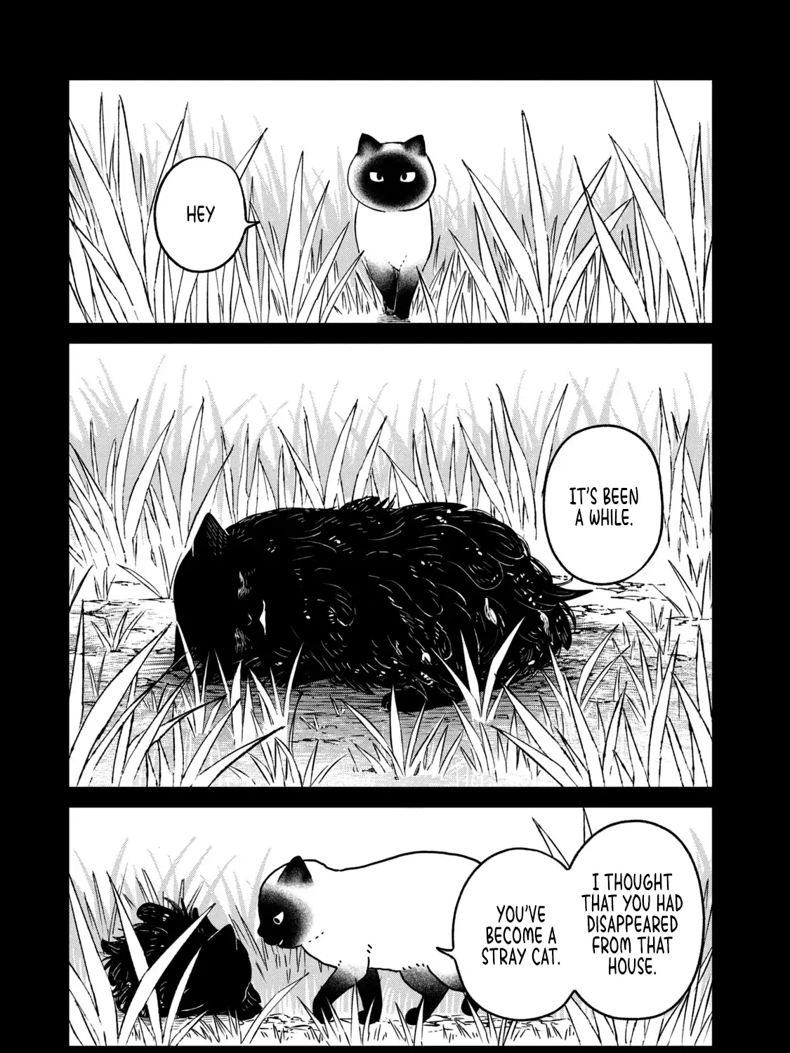 Cat Partners: Maruru And Hachi Chapter 25 page 18 - 