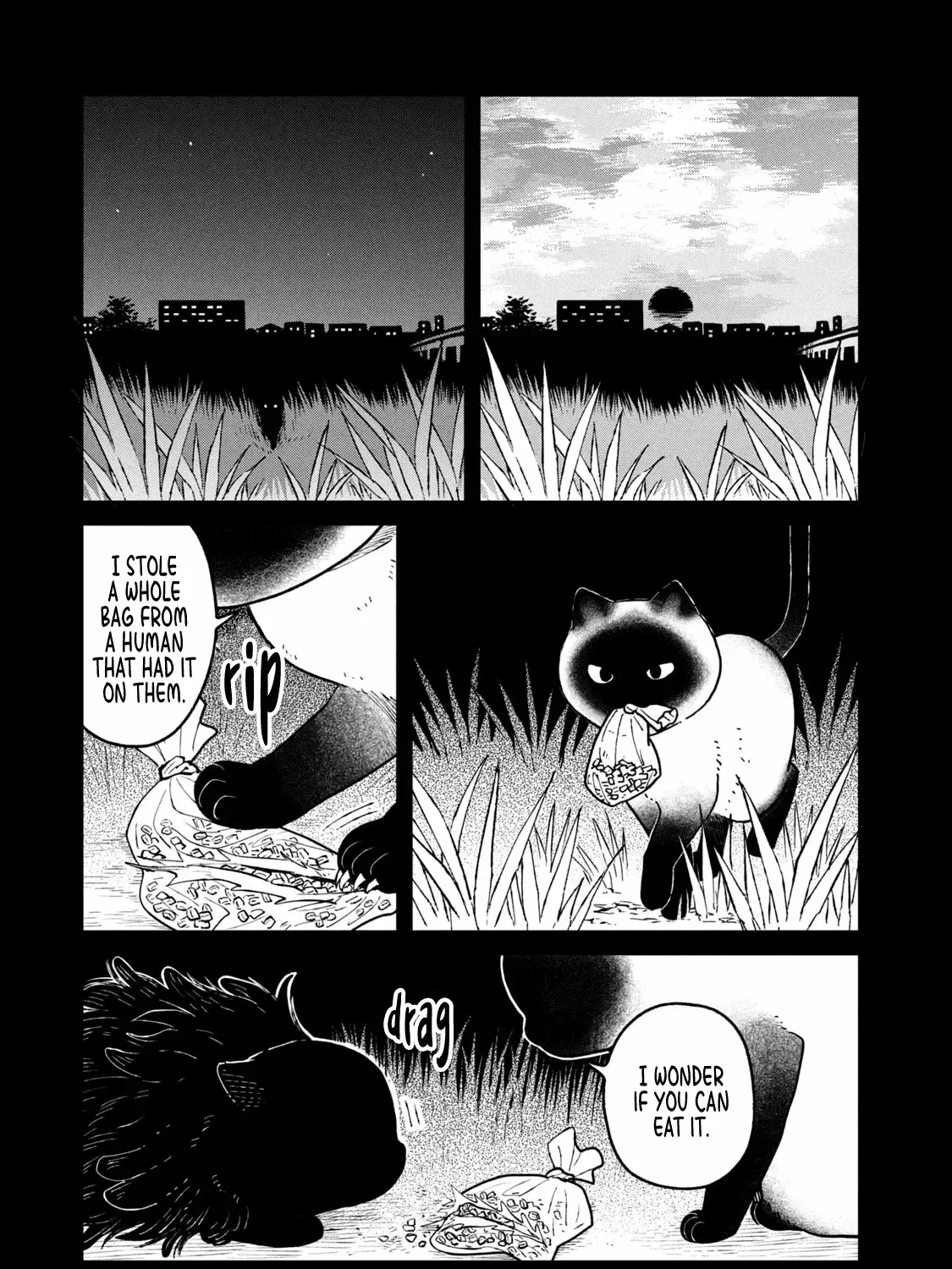 Cat Partners: Maruru And Hachi Chapter 25 page 22 - 