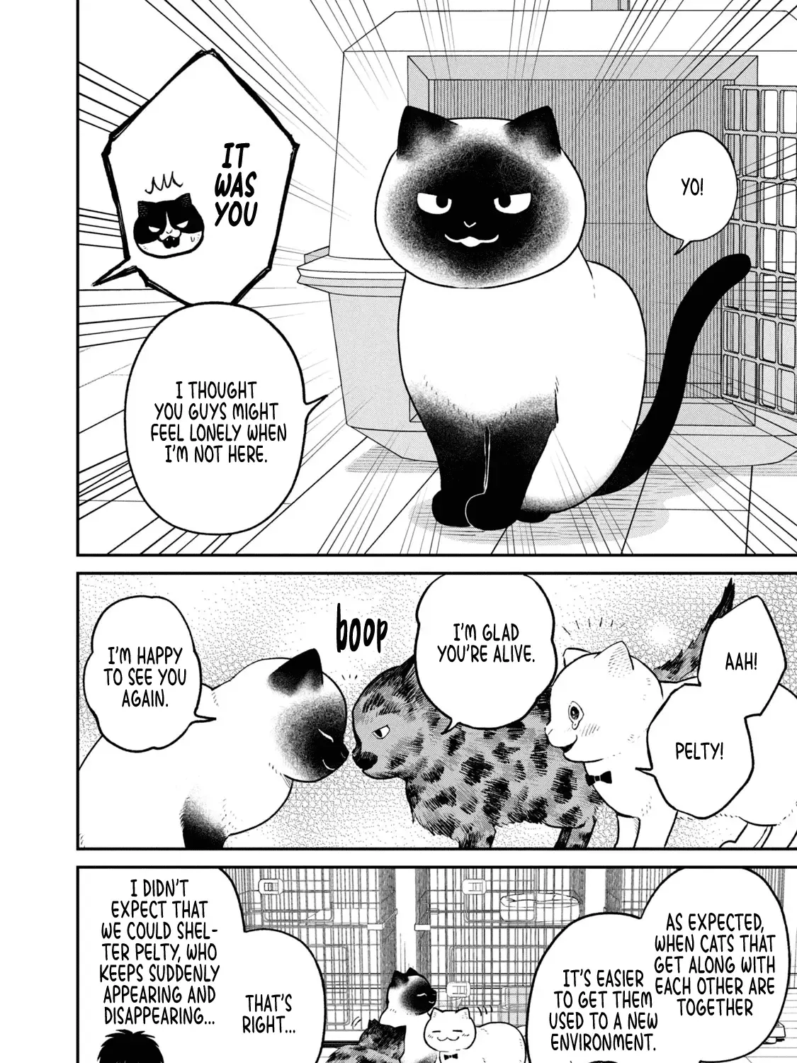 Cat Partners: Maruru And Hachi Chapter 26 page 4 - 
