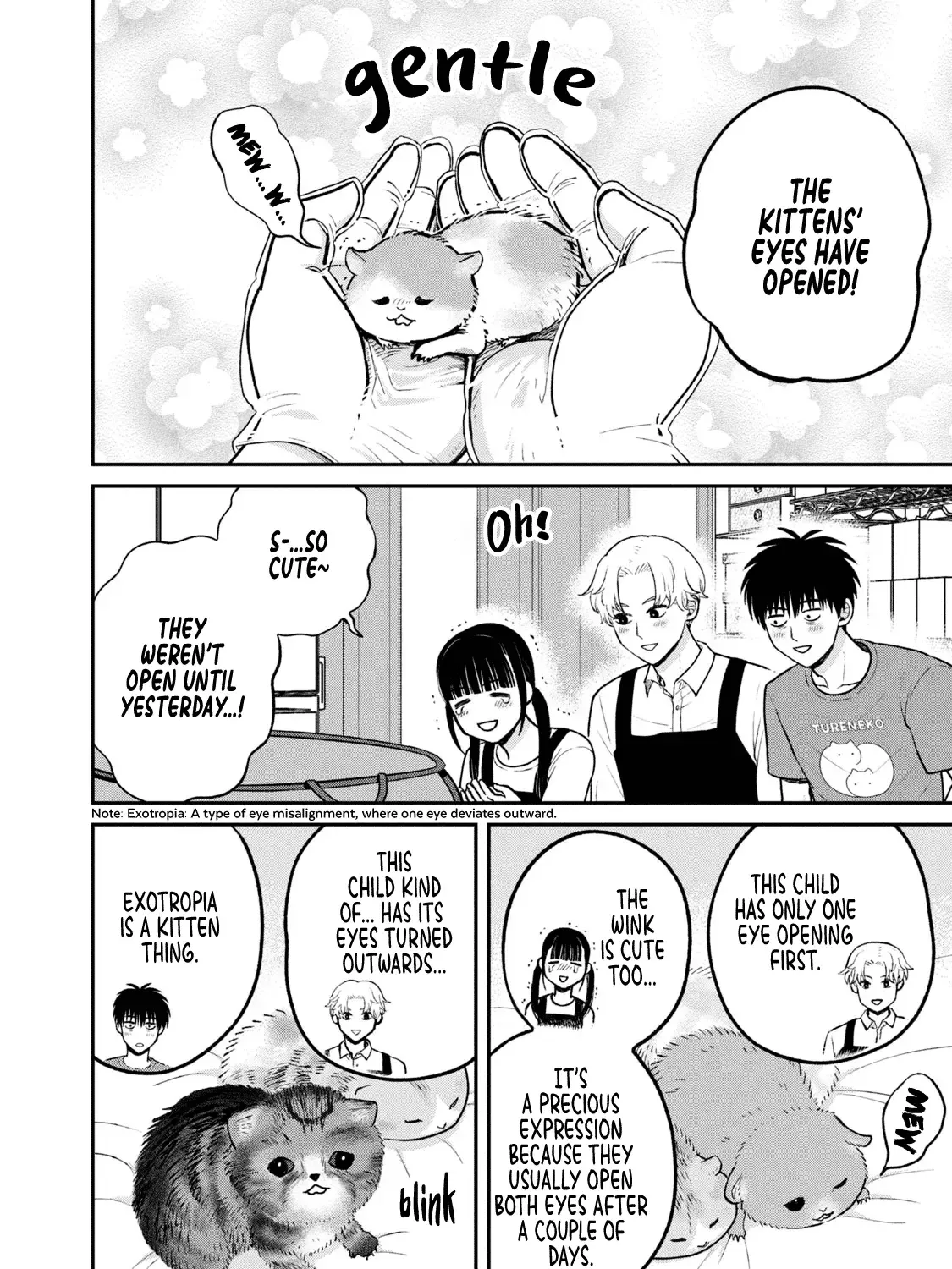 Cat Partners: Maruru And Hachi Chapter 26 page 8 - 