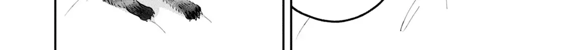 Cat Partners: Maruru And Hachi Chapter 26 page 9 - 