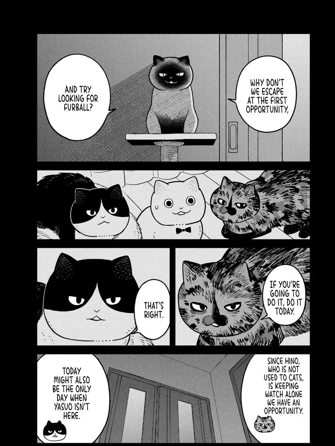 Cat Partners: Maruru And Hachi Chapter 27 page 20 - 