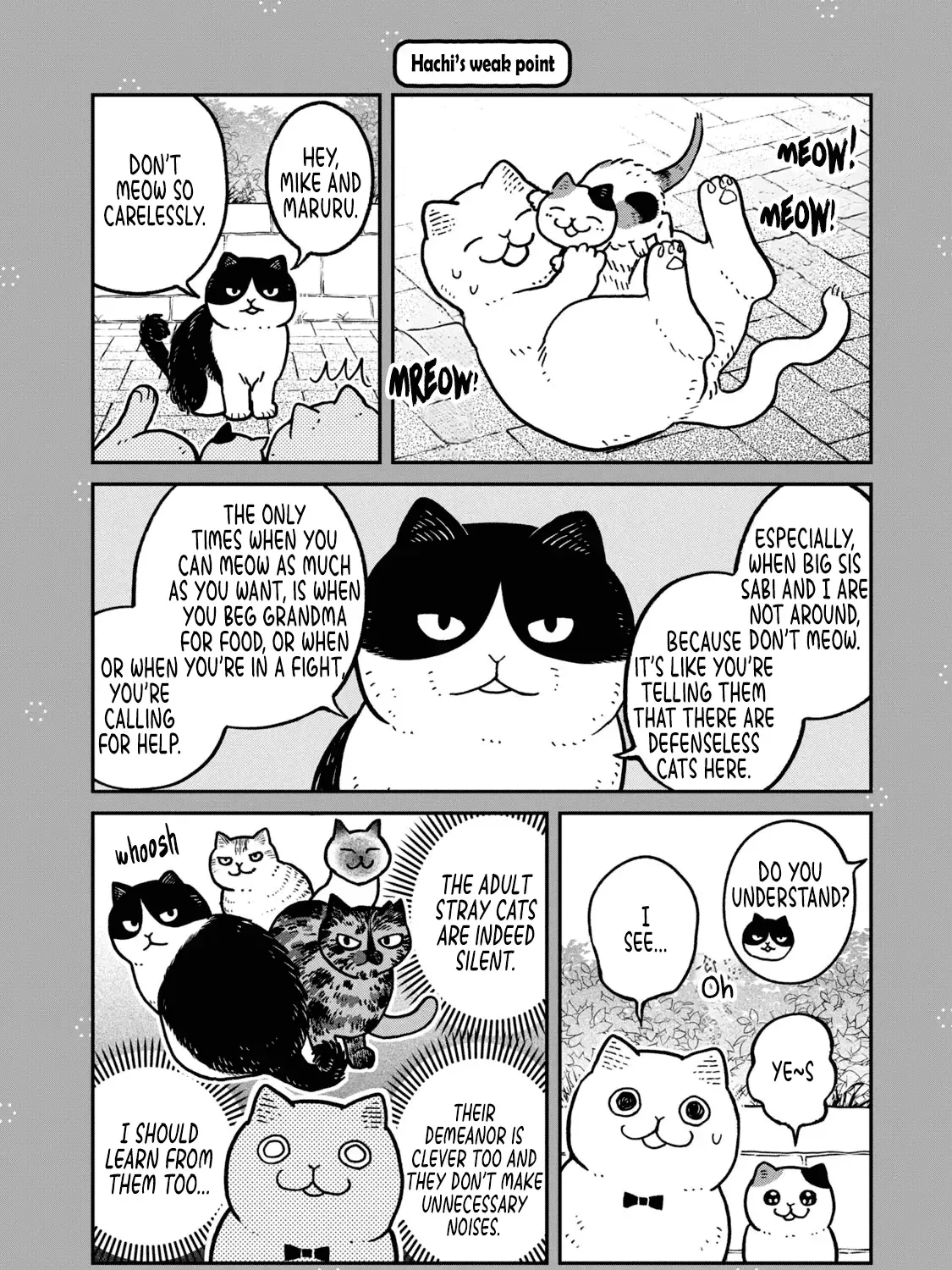 Cat Partners: Maruru And Hachi Chapter 28.1 page 2 - 