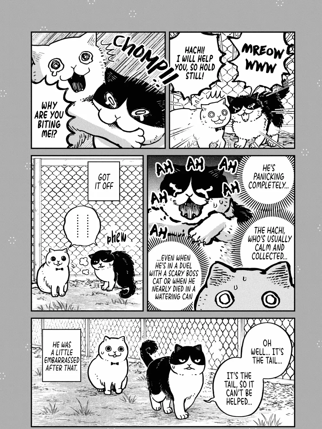 Cat Partners: Maruru And Hachi Chapter 28.1 page 6 - 