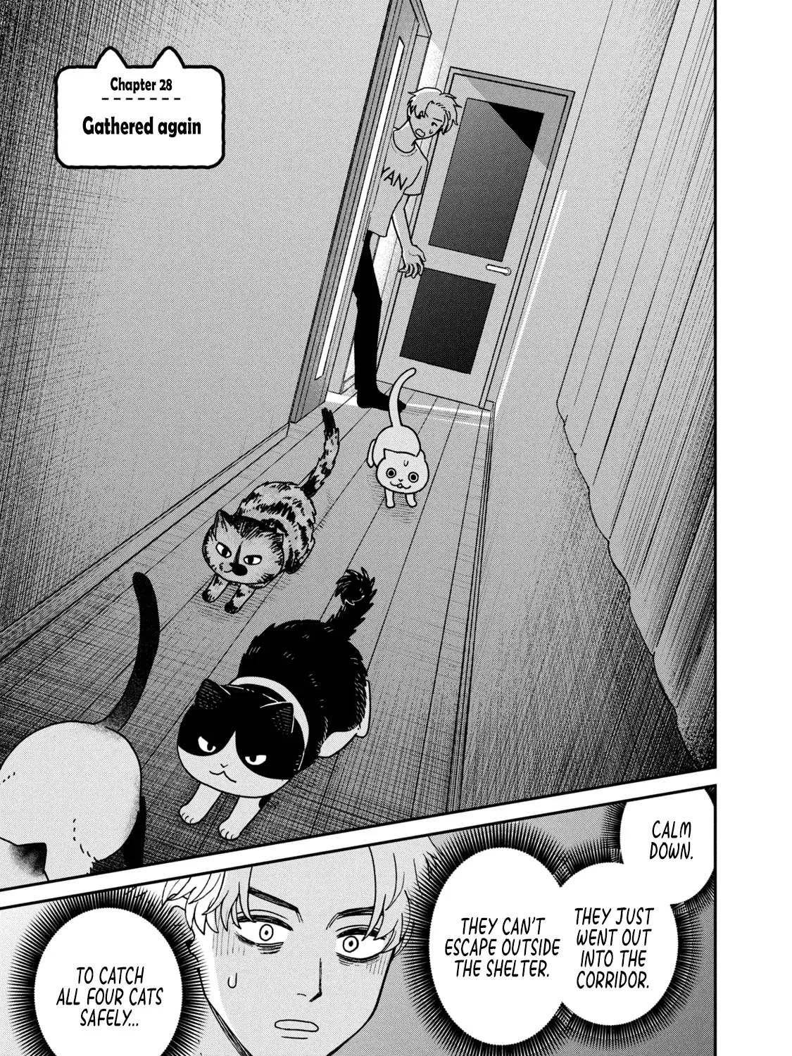 Cat Partners: Maruru And Hachi Chapter 28 page 1 - 