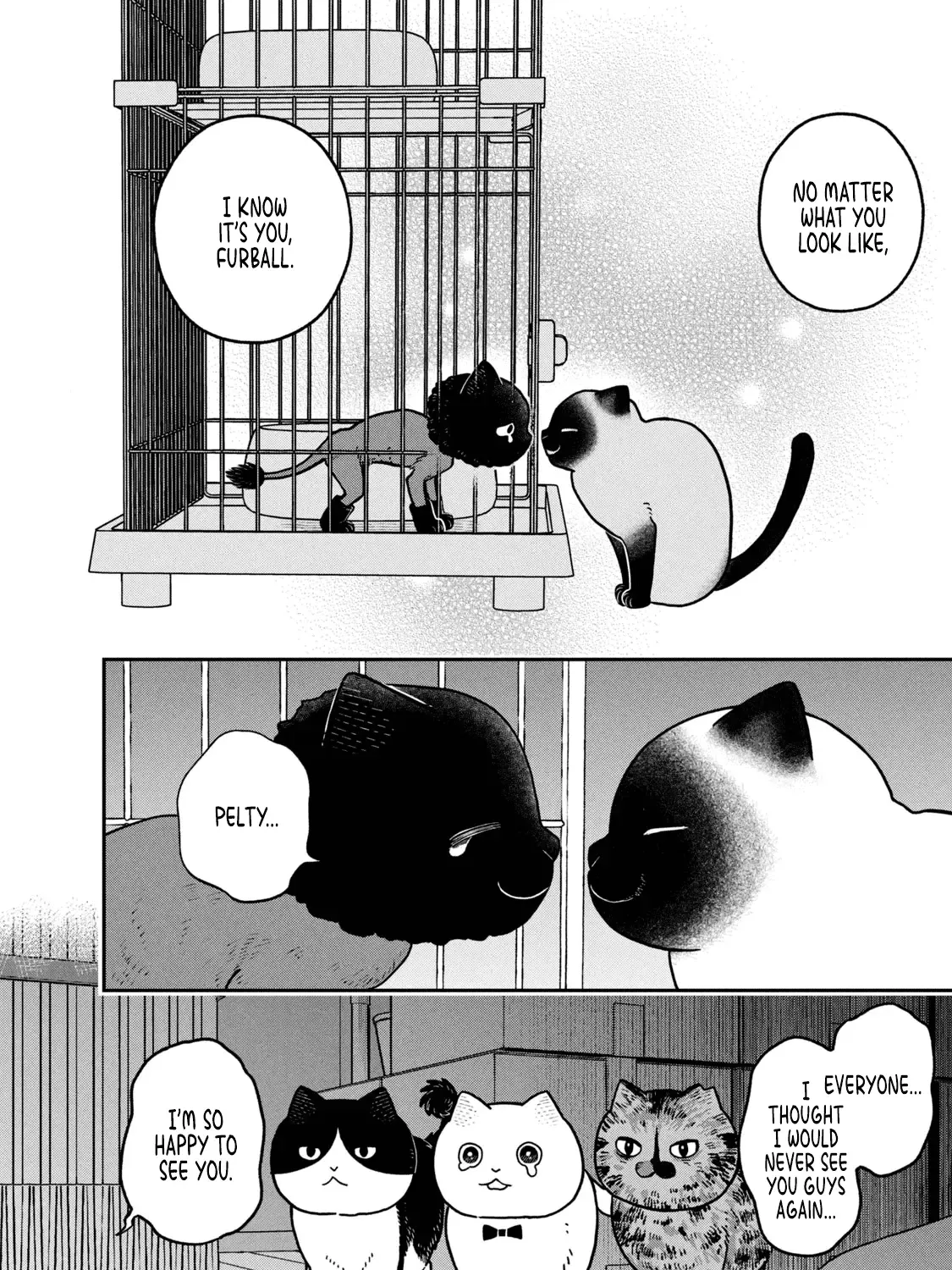 Cat Partners: Maruru And Hachi Chapter 28 page 11 - 