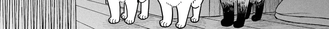 Cat Partners: Maruru And Hachi Chapter 28 page 12 - 