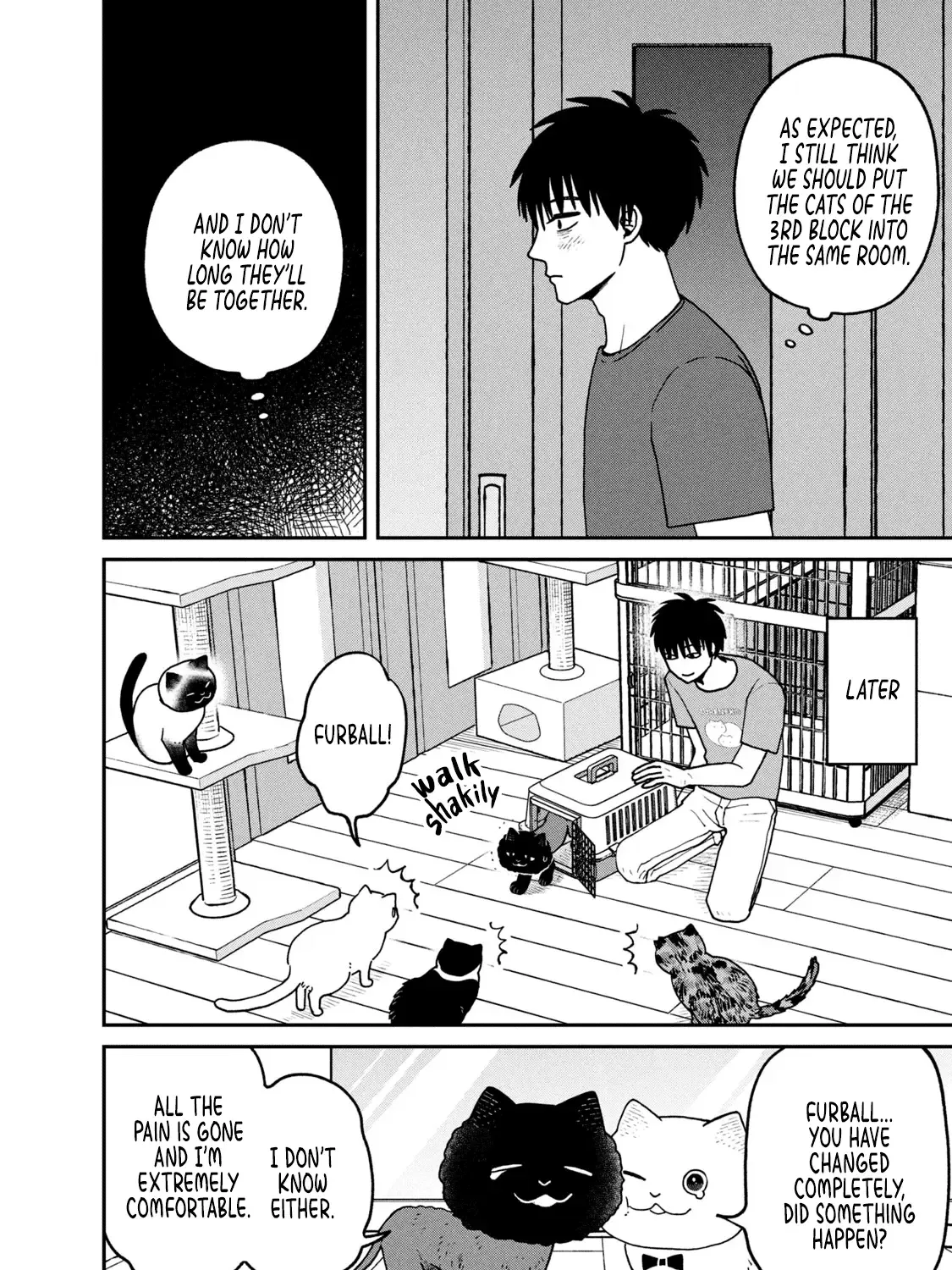 Cat Partners: Maruru And Hachi Chapter 28 page 19 - 