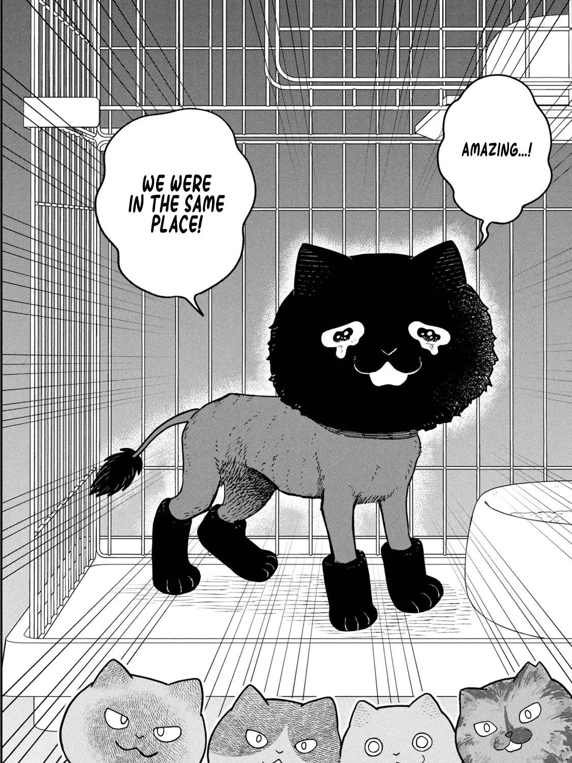 Cat Partners: Maruru And Hachi Chapter 28 page 7 - 