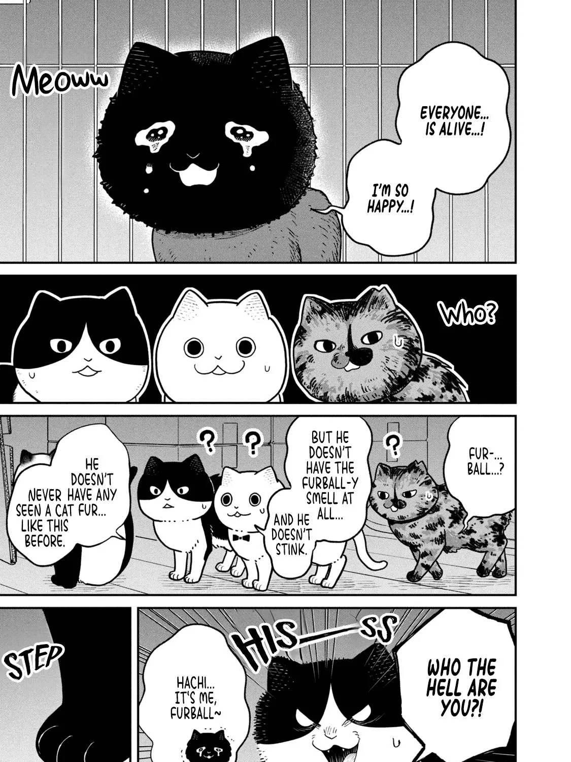 Cat Partners: Maruru And Hachi Chapter 28 page 9 - 