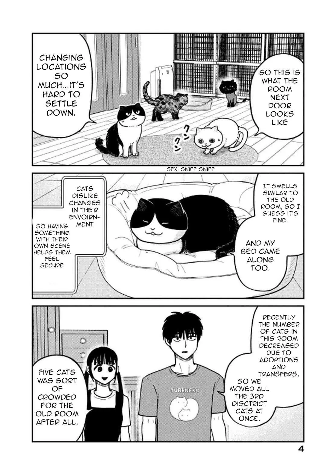 Cat Partners: Maruru And Hachi Chapter 29 page 12 - 