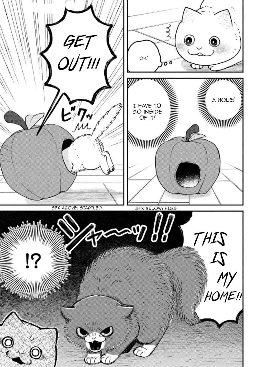 Cat Partners: Maruru And Hachi Chapter 29 page 14 - 
