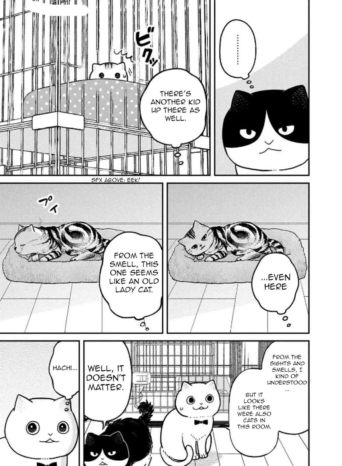 Cat Partners: Maruru And Hachi Chapter 29 page 18 - 