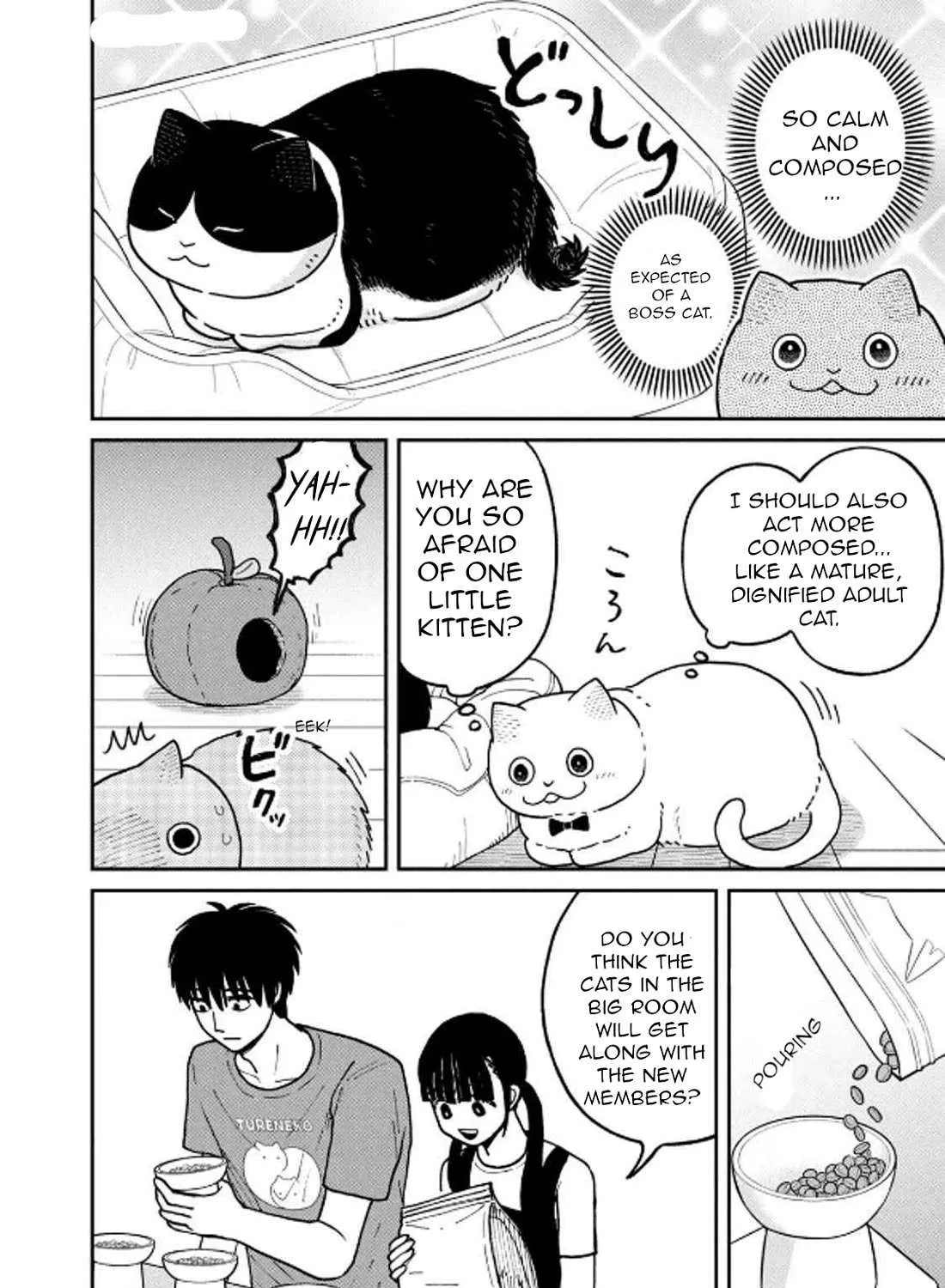 Cat Partners: Maruru And Hachi Chapter 29 page 20 - 