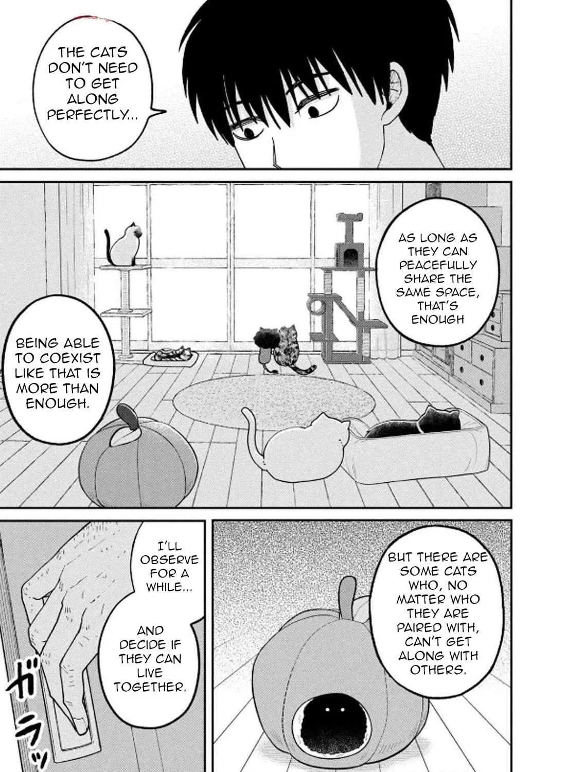 Cat Partners: Maruru And Hachi Chapter 29 page 22 - 