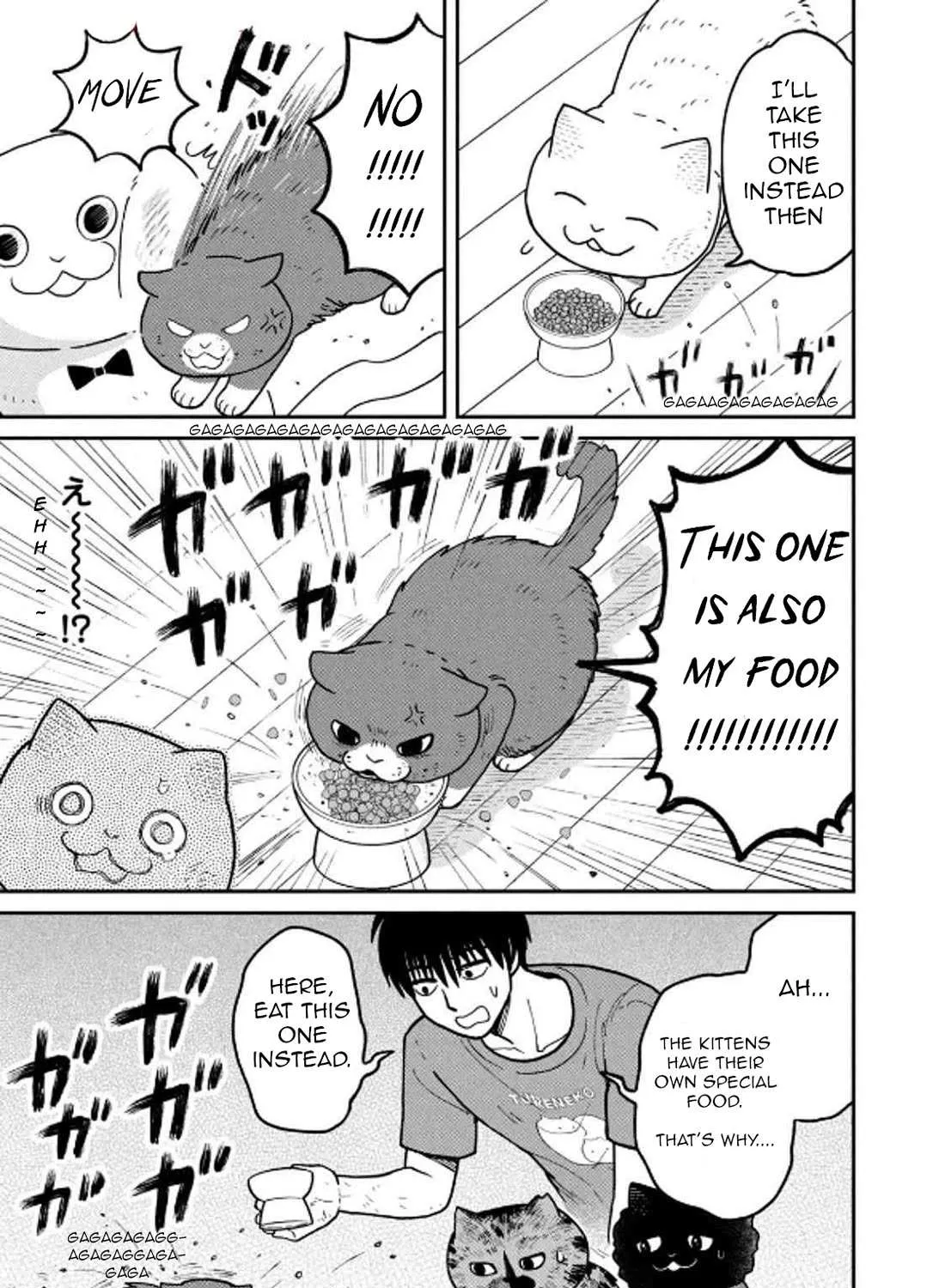 Cat Partners: Maruru And Hachi Chapter 29 page 26 - 