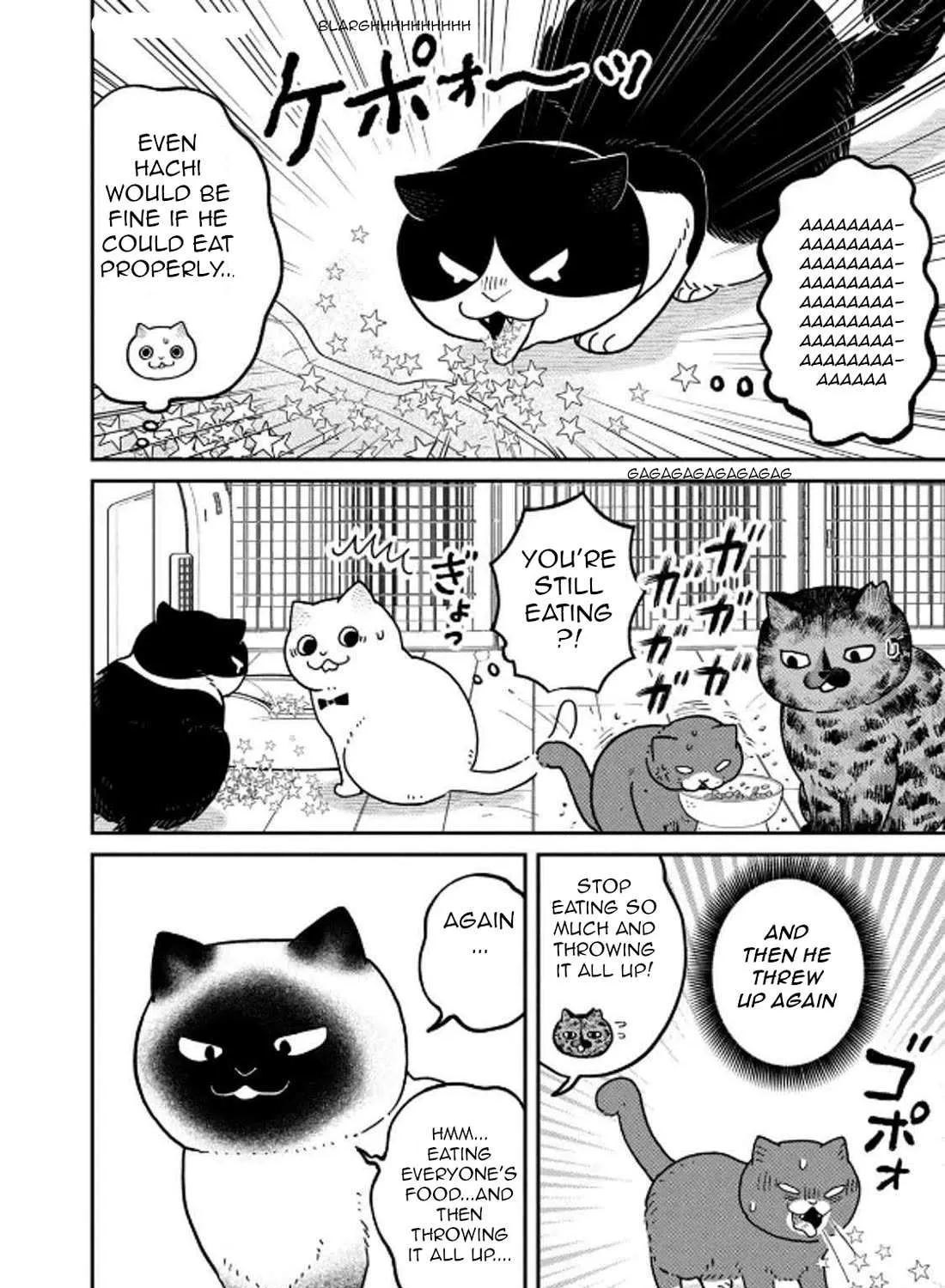 Cat Partners: Maruru And Hachi Chapter 29 page 32 - 