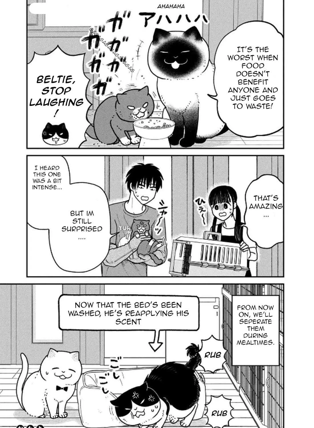 Cat Partners: Maruru And Hachi Chapter 29 page 34 - 