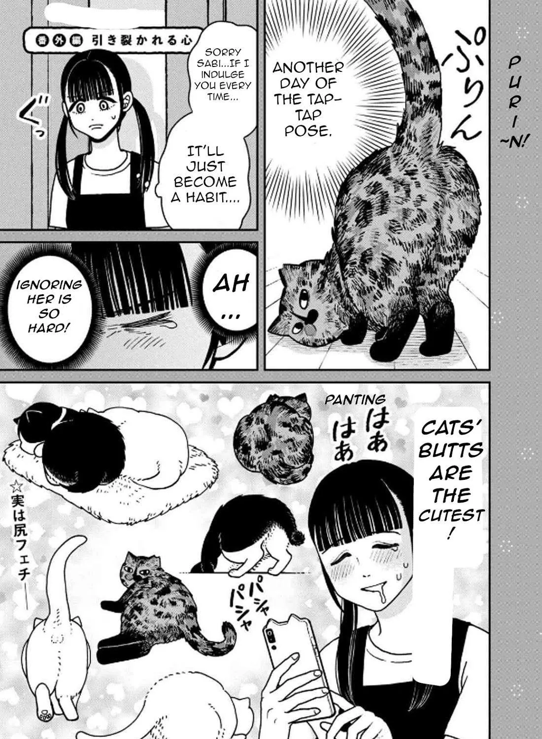 Cat Partners: Maruru And Hachi Chapter 29 page 38 - 
