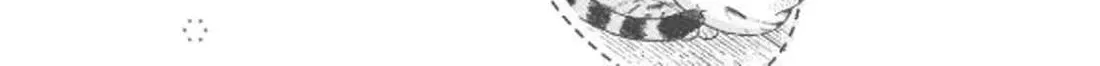 Cat Partners: Maruru And Hachi Chapter 29 page 7 - 