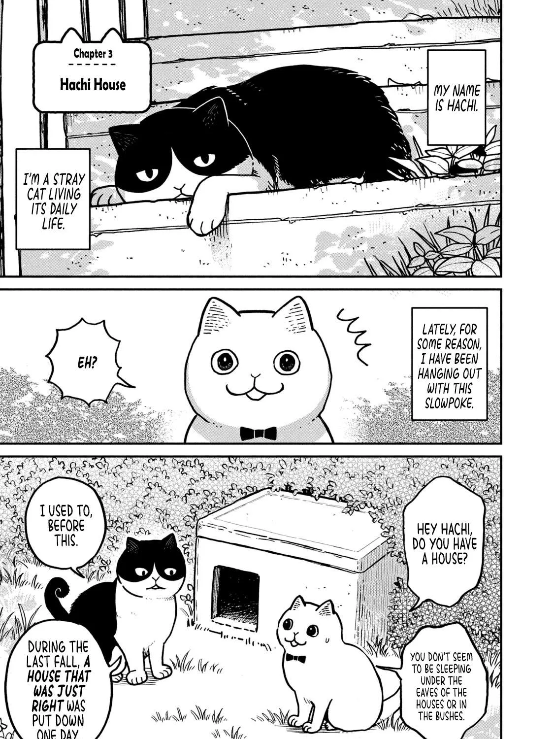 Cat Partners: Maruru And Hachi Chapter 3 page 2 - 