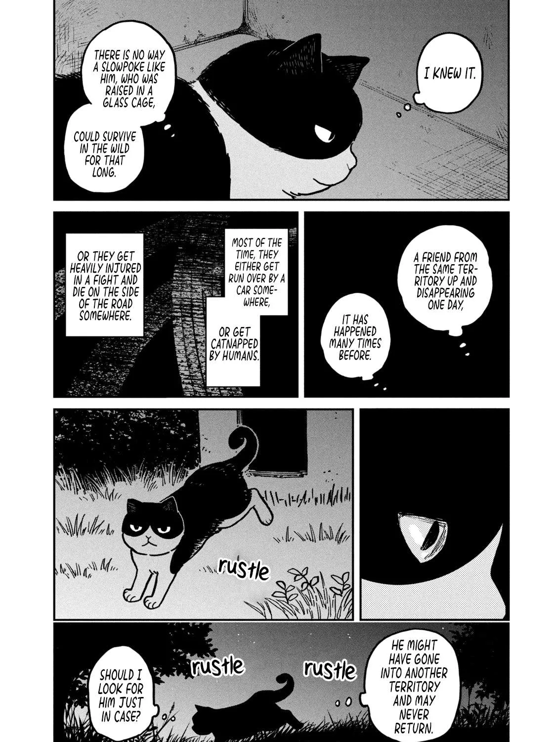 Cat Partners: Maruru And Hachi Chapter 3 page 12 - 