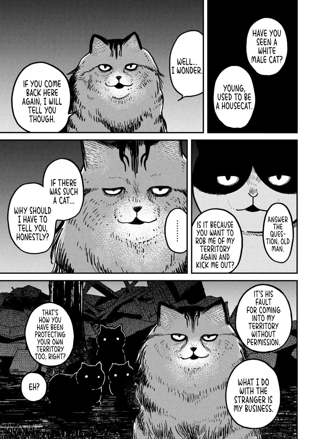 Cat Partners: Maruru And Hachi Chapter 3 page 18 - 