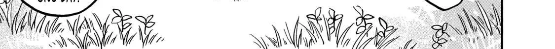 Cat Partners: Maruru And Hachi Chapter 3 page 3 - 