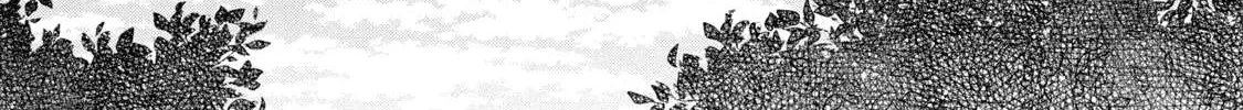 Cat Partners: Maruru And Hachi Chapter 3 page 23 - 