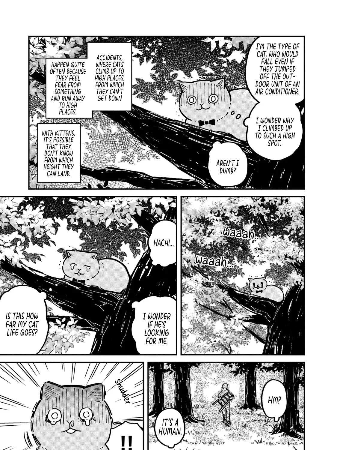 Cat Partners: Maruru And Hachi Chapter 3 page 26 - 