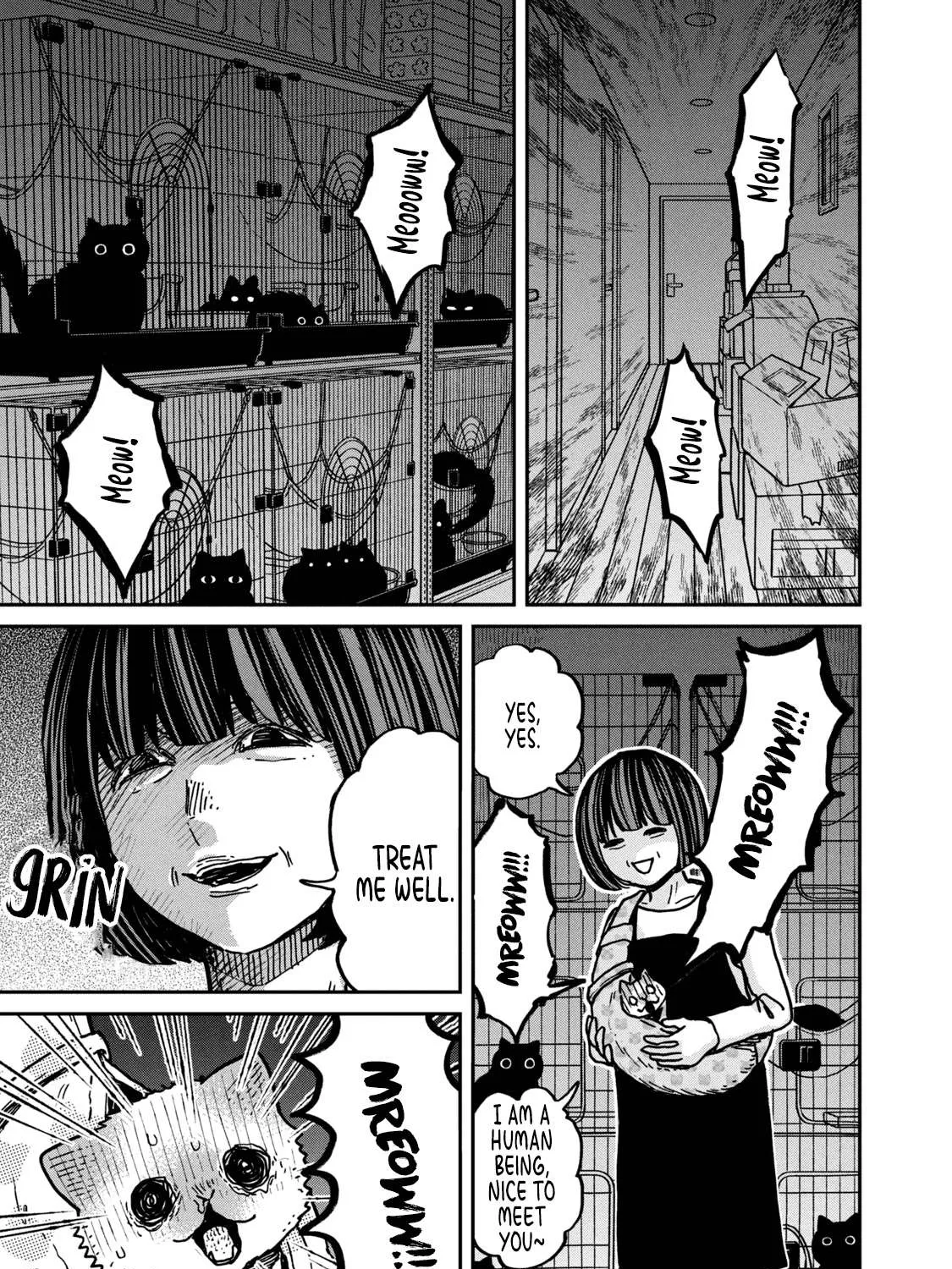 Cat Partners: Maruru And Hachi Chapter 3 page 38 - 