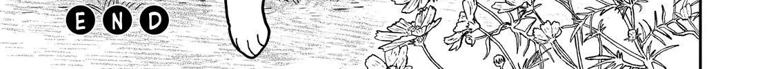 Cat Partners: Maruru And Hachi Chapter 3 page 43 - 