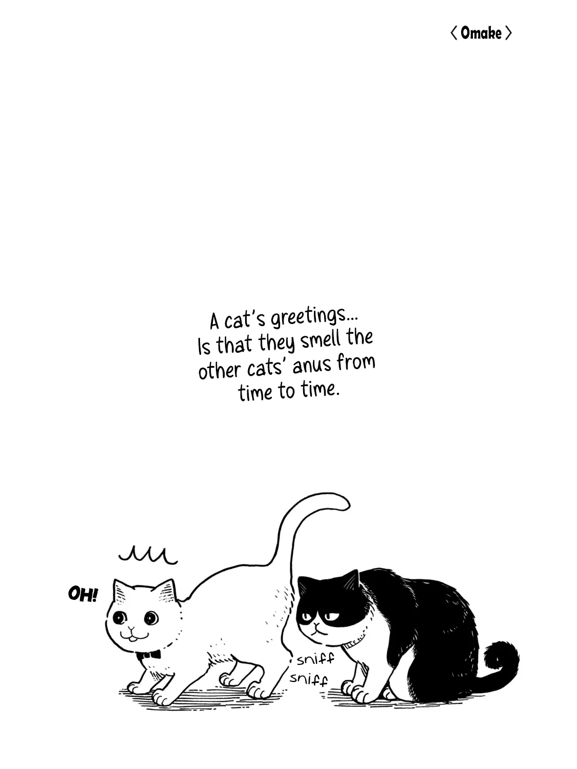 Cat Partners: Maruru And Hachi Chapter 3 page 44 - 