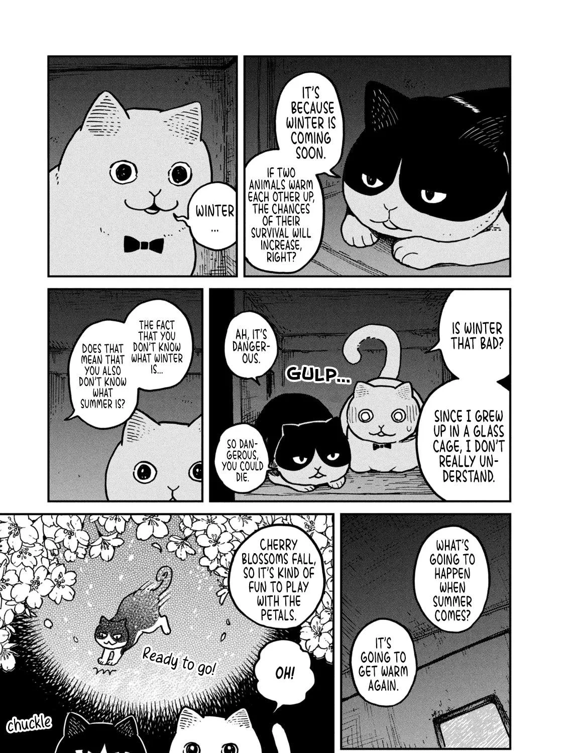 Cat Partners: Maruru And Hachi Chapter 3 page 6 - 