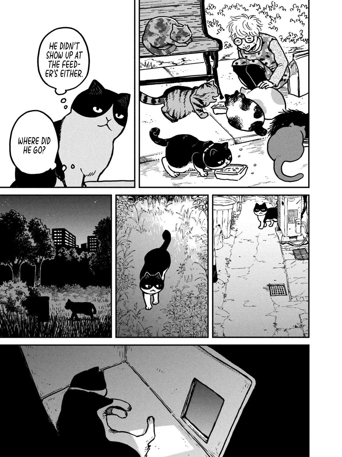 Cat Partners: Maruru And Hachi Chapter 3 page 10 - 