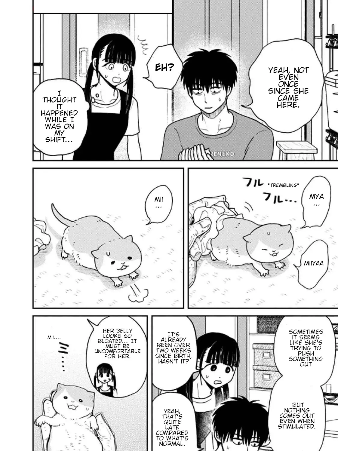 Cat Partners: Maruru And Hachi Chapter 31 page 12 - 