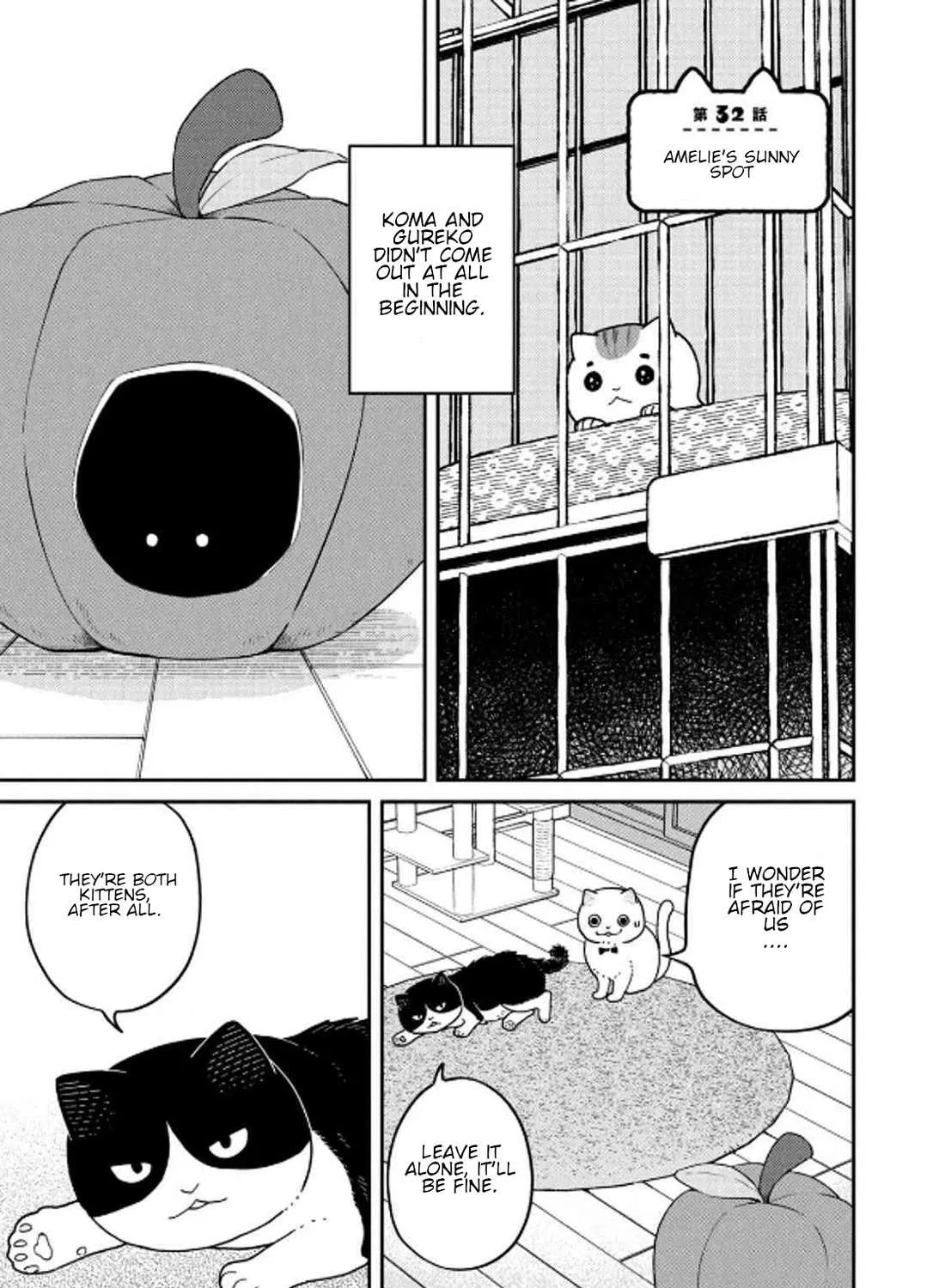 Cat Partners: Maruru And Hachi Chapter 32 page 2 - 