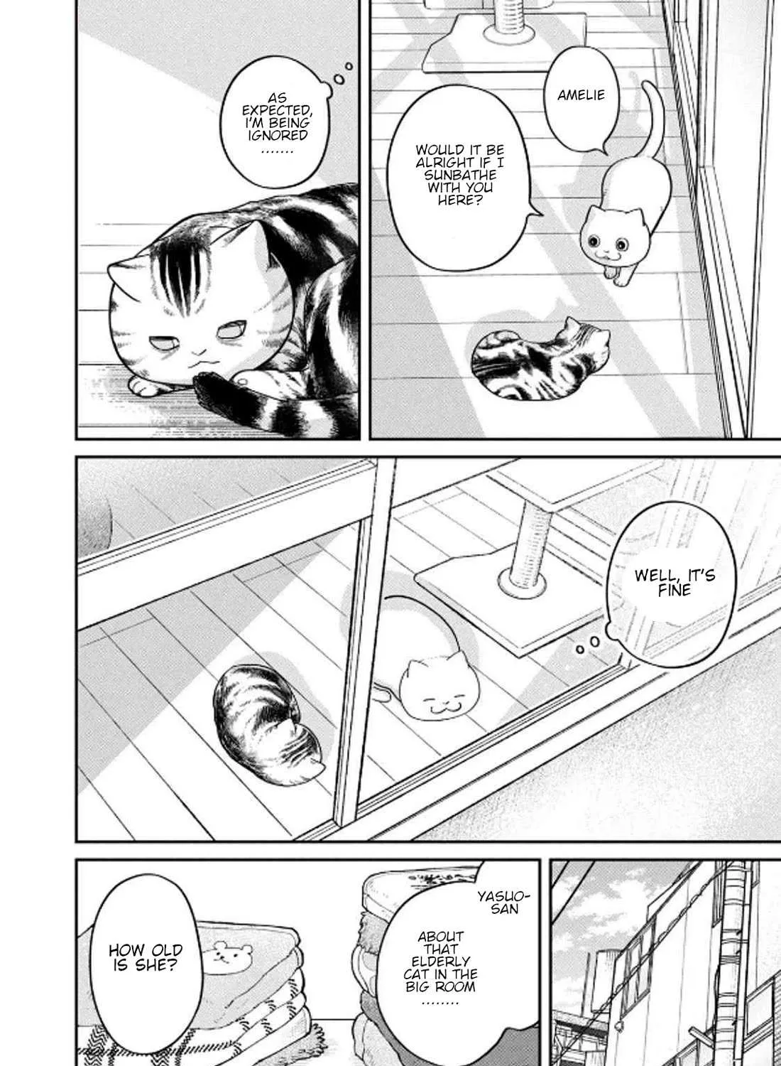 Cat Partners: Maruru And Hachi Chapter 32 page 12 - 