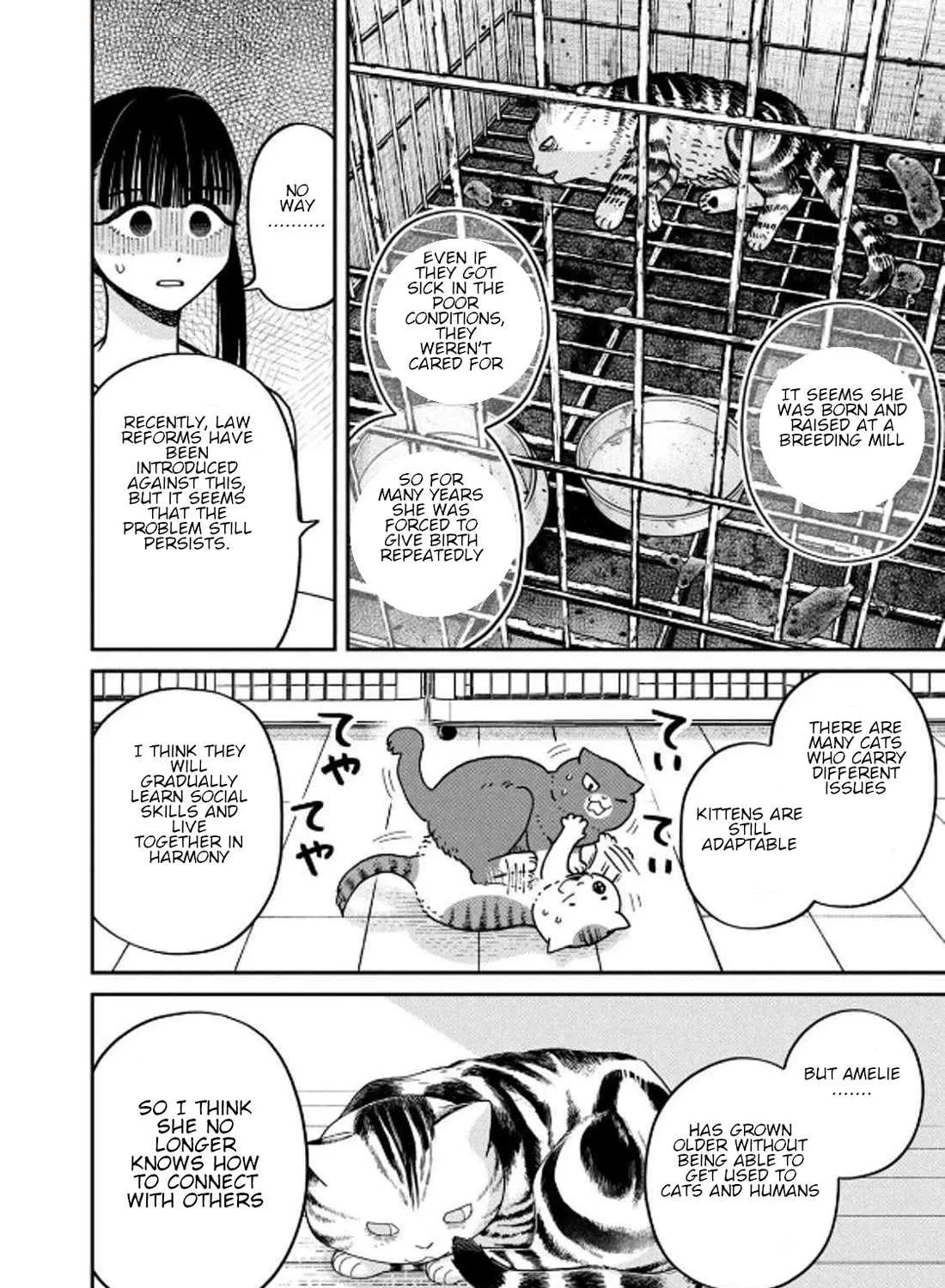 Cat Partners: Maruru And Hachi Chapter 32 page 16 - 