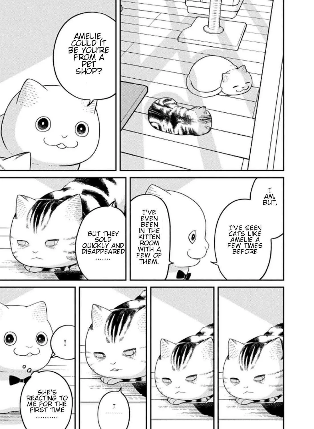 Cat Partners: Maruru And Hachi Chapter 32 page 18 - 