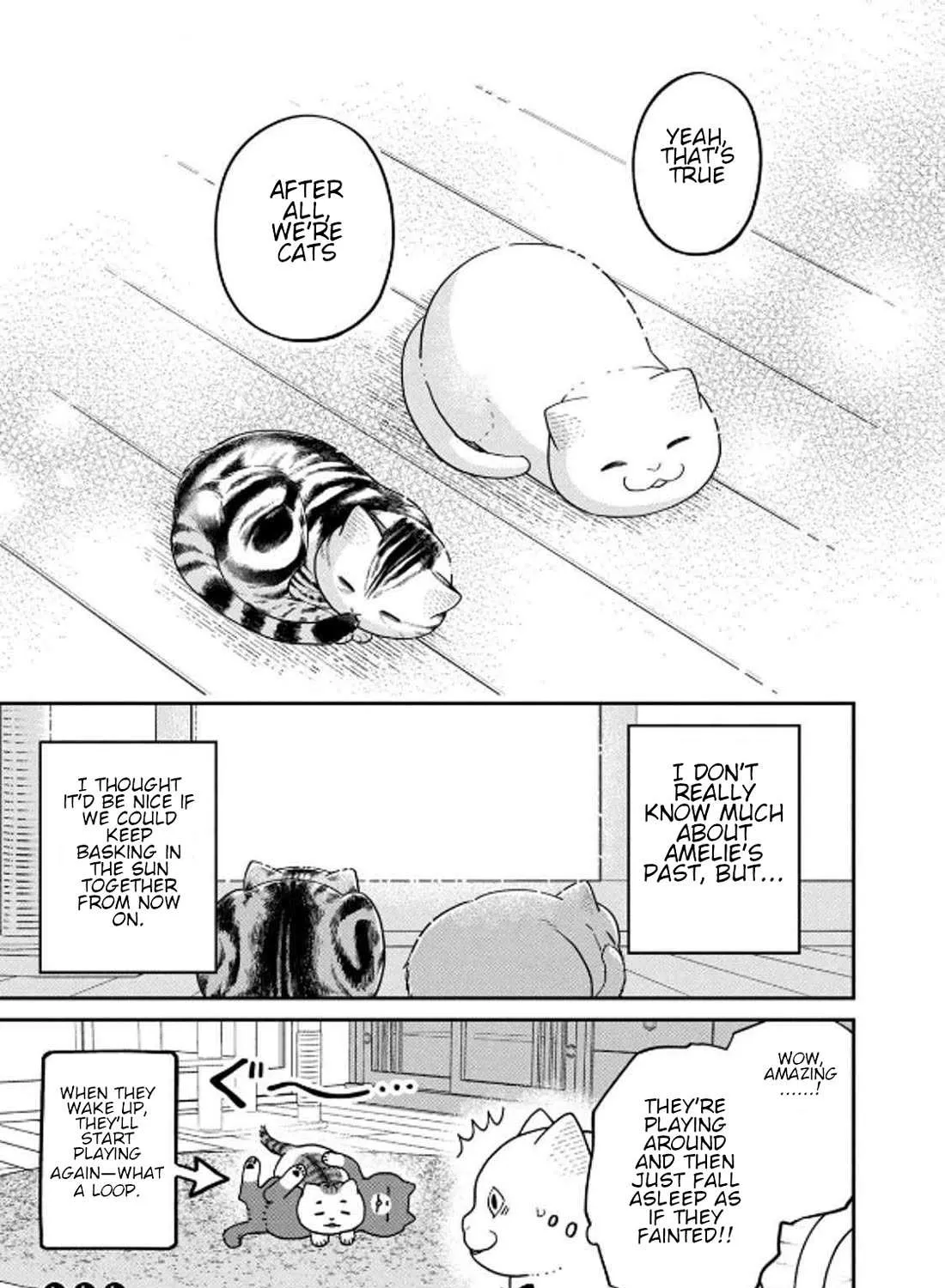 Cat Partners: Maruru And Hachi Chapter 32 page 22 - 