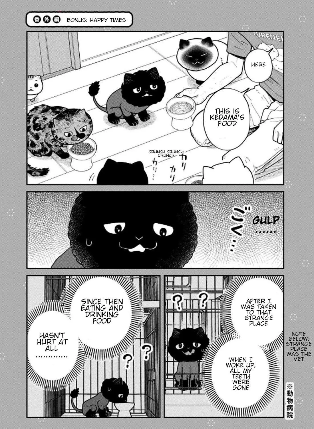 Cat Partners: Maruru And Hachi Chapter 32 page 26 - 