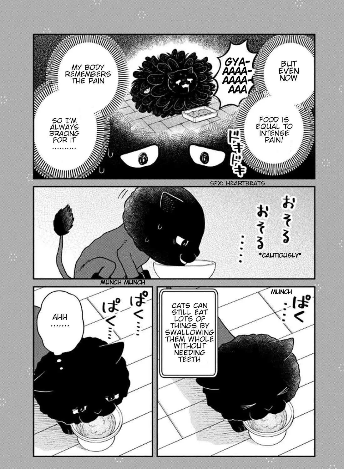 Cat Partners: Maruru And Hachi Chapter 32 page 28 - 
