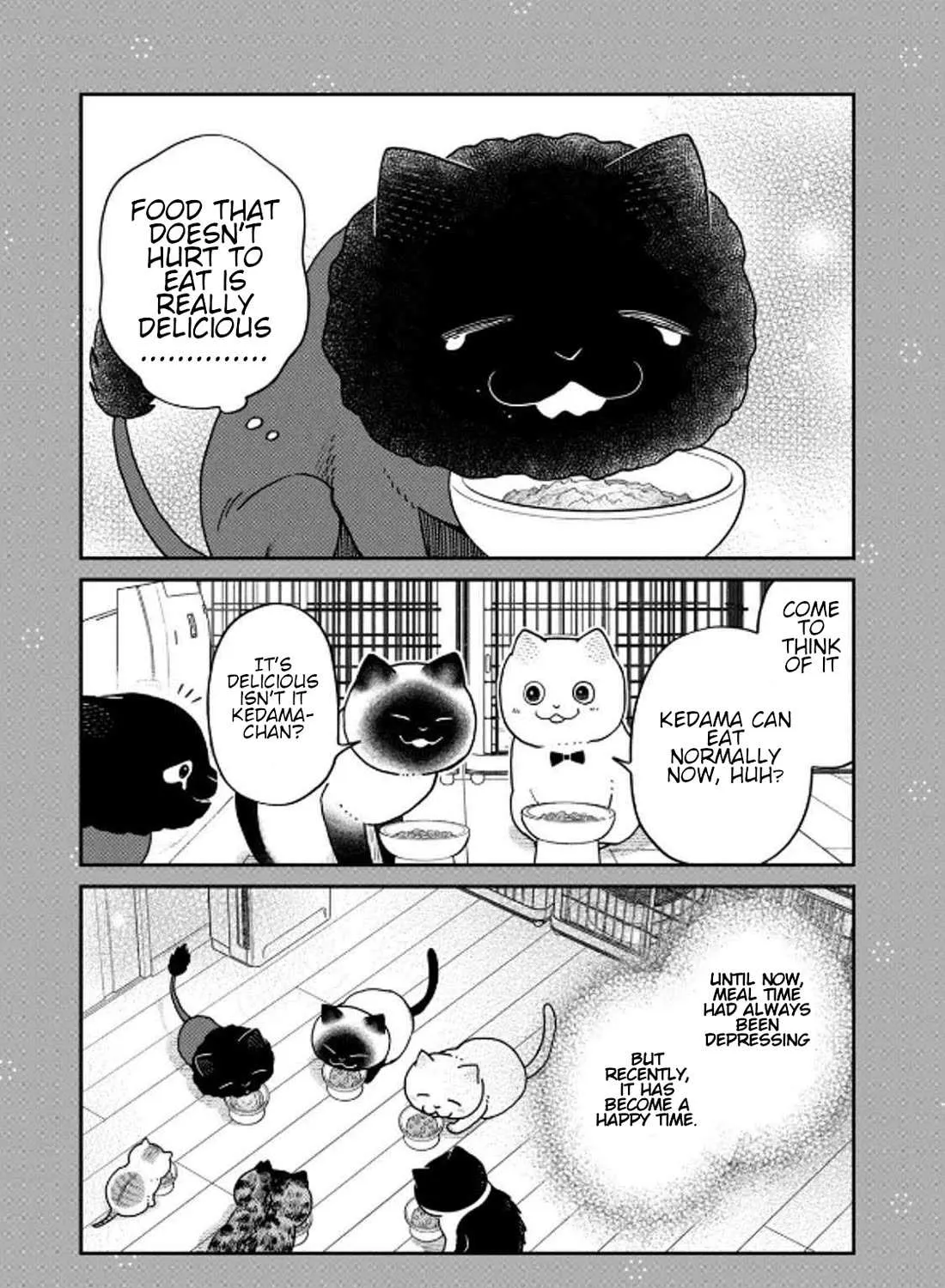 Cat Partners: Maruru And Hachi Chapter 32 page 30 - 
