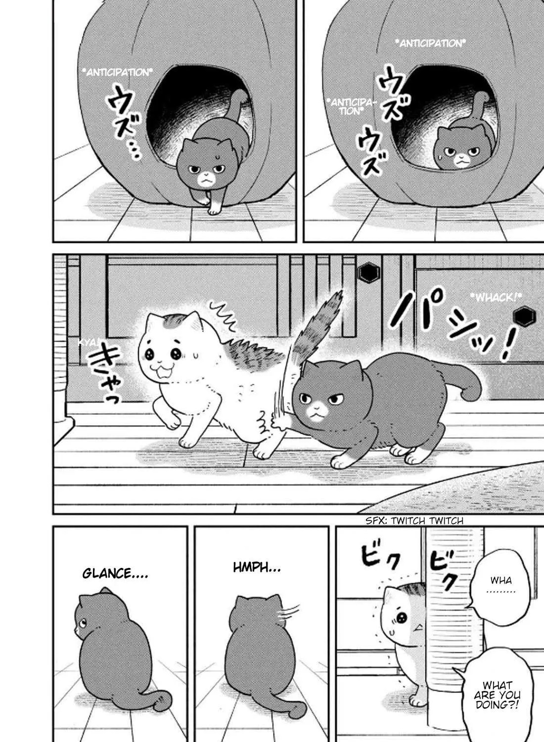 Cat Partners: Maruru And Hachi Chapter 32 page 4 - 