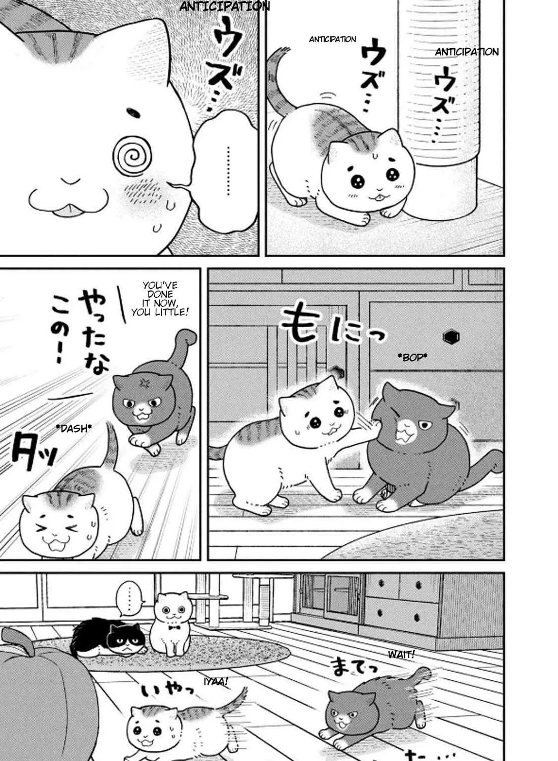 Cat Partners: Maruru And Hachi Chapter 32 page 6 - 