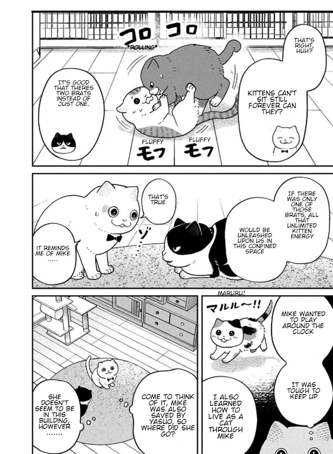 Cat Partners: Maruru And Hachi Chapter 32 page 8 - 